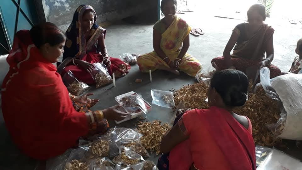 WhatsApp Image 2026-03-16 at 1.25.25 PM (1)